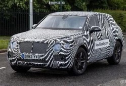 宾利最新爆料新闻报道,奢华品牌背后的秘密与未来展望